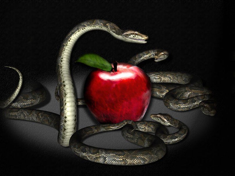Искушение песчаного змея. Яблоко и змей искуситель. Змея с яблоком. Искушение змей.