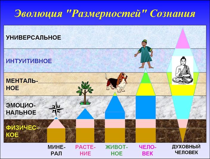 Путь статья. Иерархия времени волновое сознание читать.