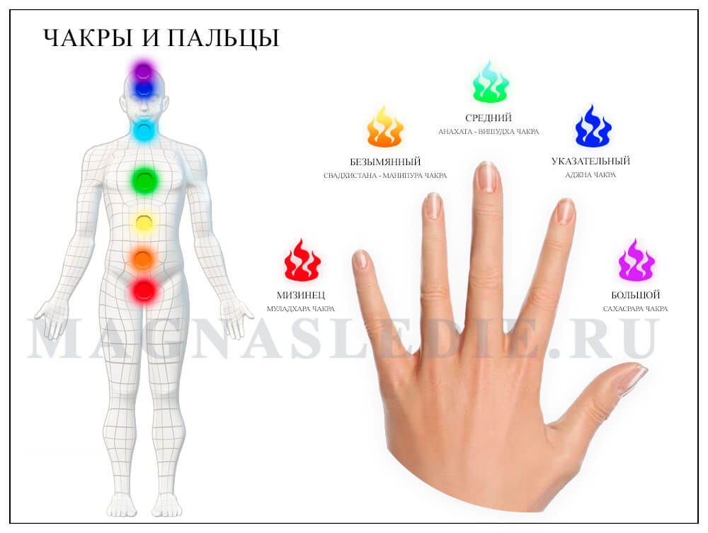 Чакры рук. Чакры пальцев. Чакры на пальцах рук. Пальцы и чакры. Пальцы и чакры соответствие.