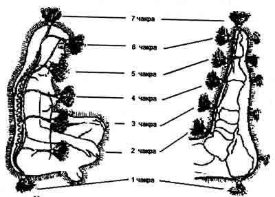 Чакры ног. Проекции чакр на стопы. Проекции чакр на ногах. Энергетические центры на стопах. Чакры на ногах человека.