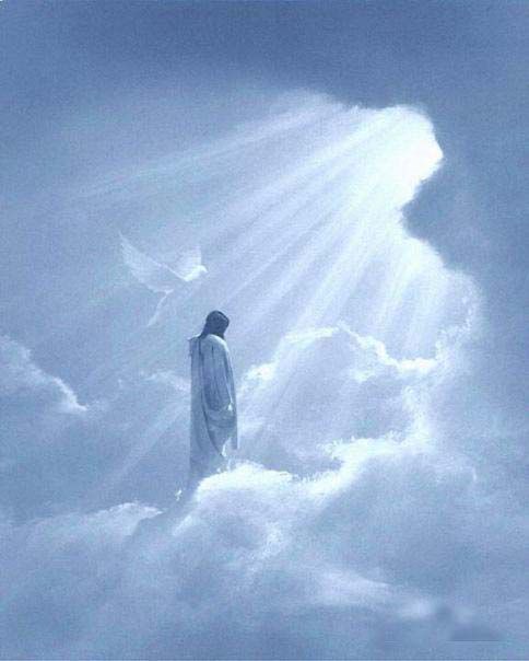 Новое изображение